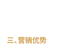 營(yíng)銷(xiāo)優(yōu)勢(shì)